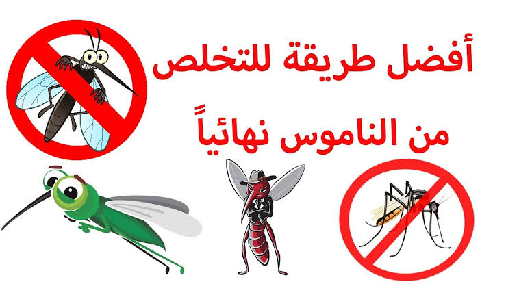 افضل طريقه للتخلص من الناموس
