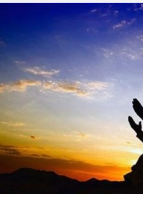 IMG_20250213_191518 IMG_20250213_191518