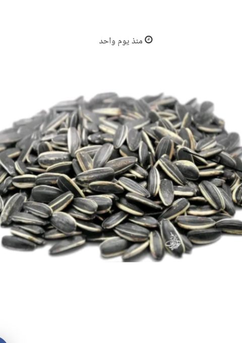 IMG_20250216_205538 IMG_20250216_205538