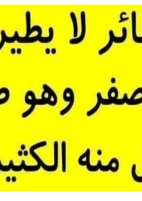 IMG_20250217_005126 IMG_20250217_005126